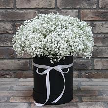 Цветочная композиция из Гипсофила в шляпной коробке в Родниковской