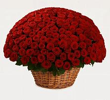 Премиум букет из: Розы в Родниковской